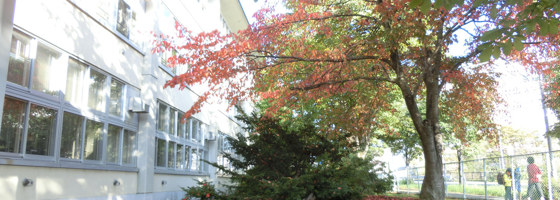 cimg7500.jpg